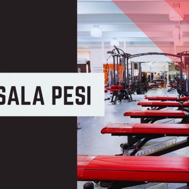 SALA-PESI.png